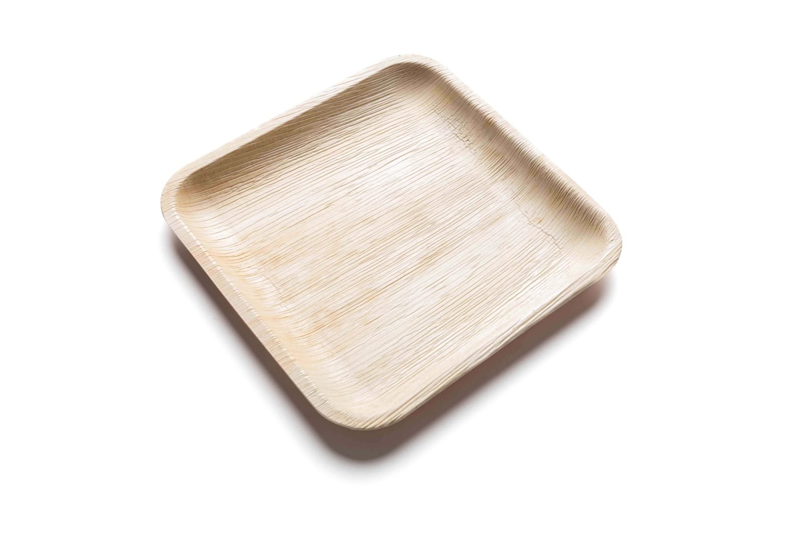 Areca square palm leaf plates in India